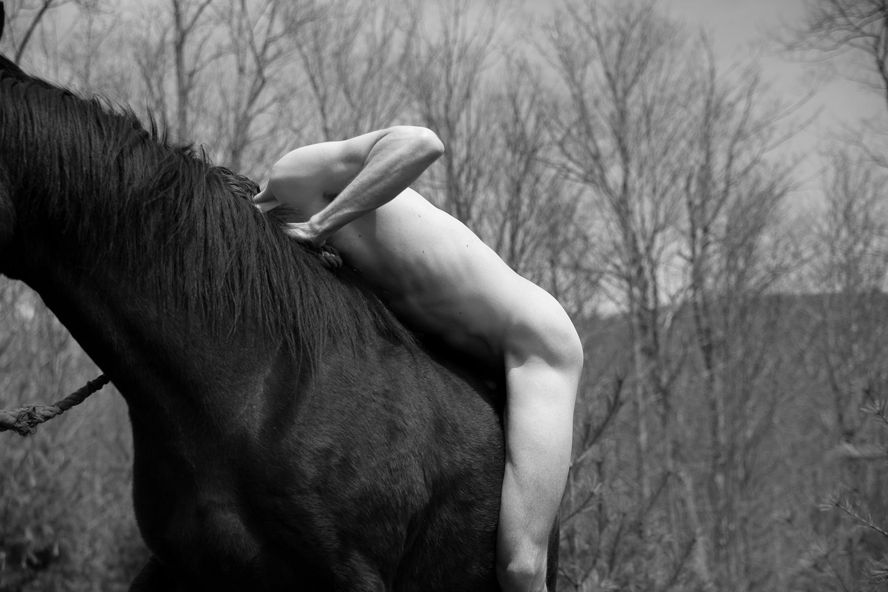 Untitled. From The series Horse and Dancer. Male Nude B & W photograph