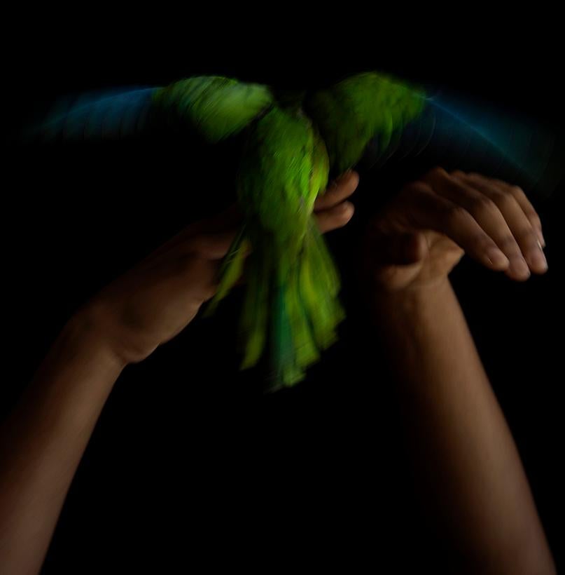 Verde, Desnudo. Fotografía en color de edición limitada - Photograph de Ricky Cohete
