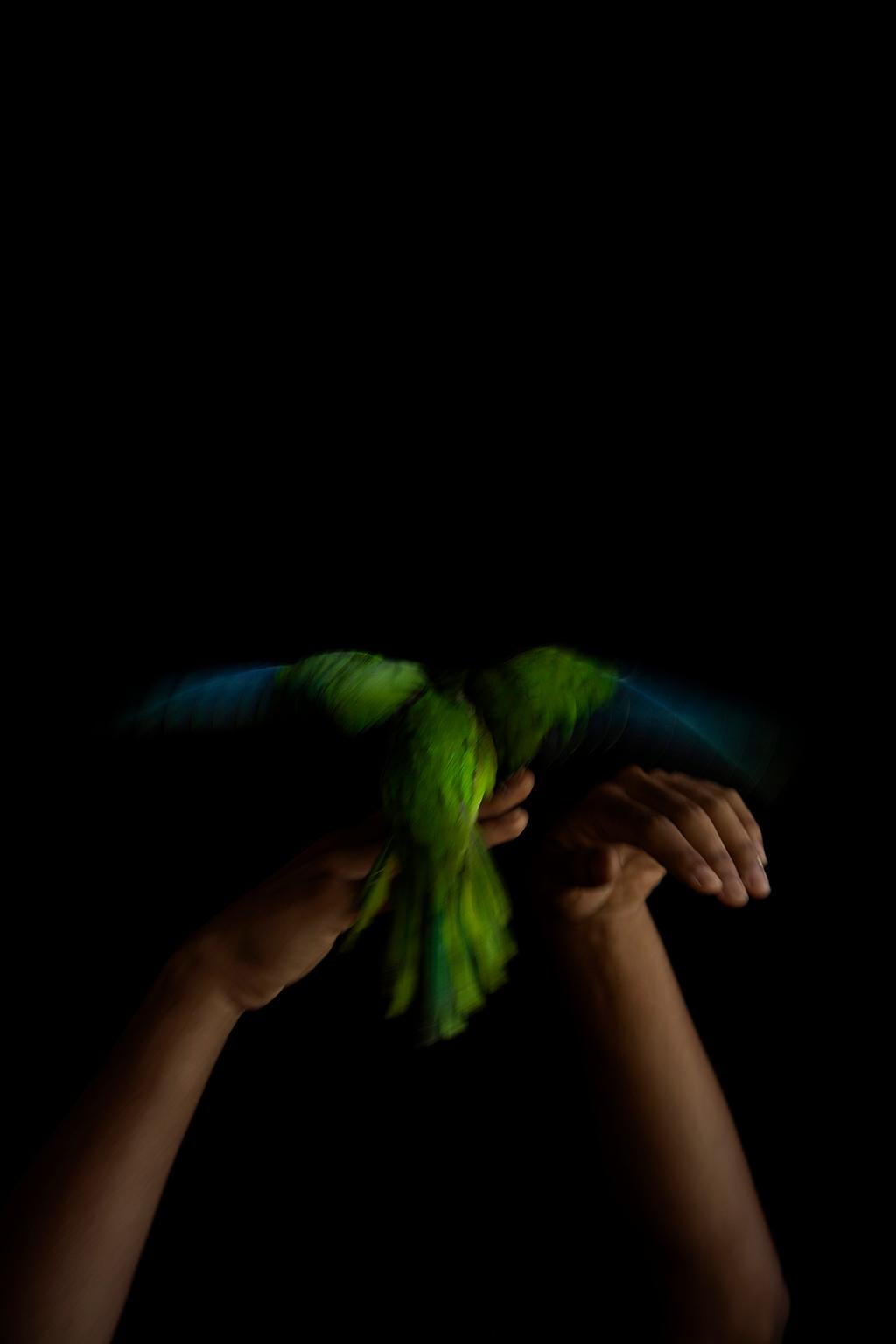 Ricky Cohete Figurative Photograph - Verde, Nude. Color Limited Edition Photograph
