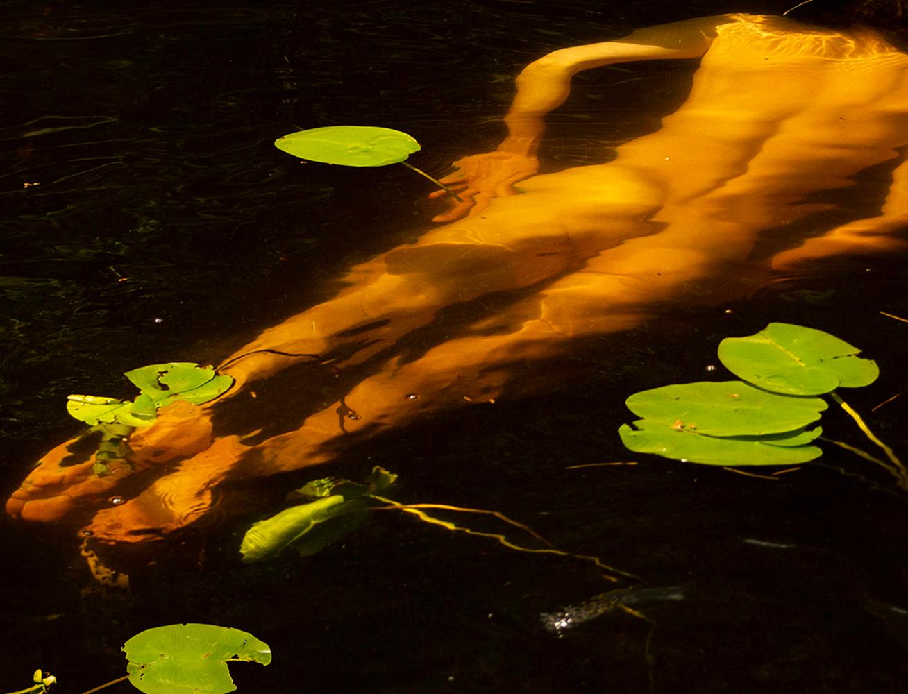 Water Lilies. From the series Water Lilies. Male Nude dancer color photograph - Photograph by Ricky Cohete