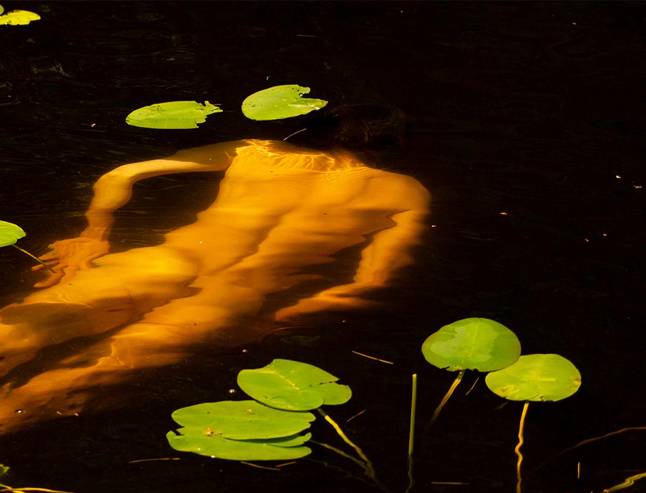 Water Lilies, 2023 by Ricky Cohete
From the series Water Lilies
Color Archival Pigment print
Image size: 24 in. H x 36 in. W
Edition of 10
Unframed


_________________________
Ricky Cohete was born in a coastal city in Ecuador, but mainly, grew up