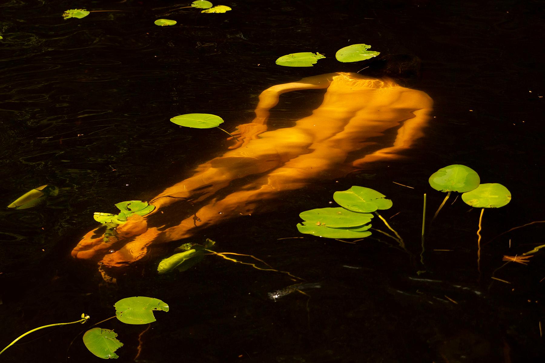 Ricky Cohete Color Photograph - Water Lilies. From the series Water Lilies. Male Nude dancer color photograph