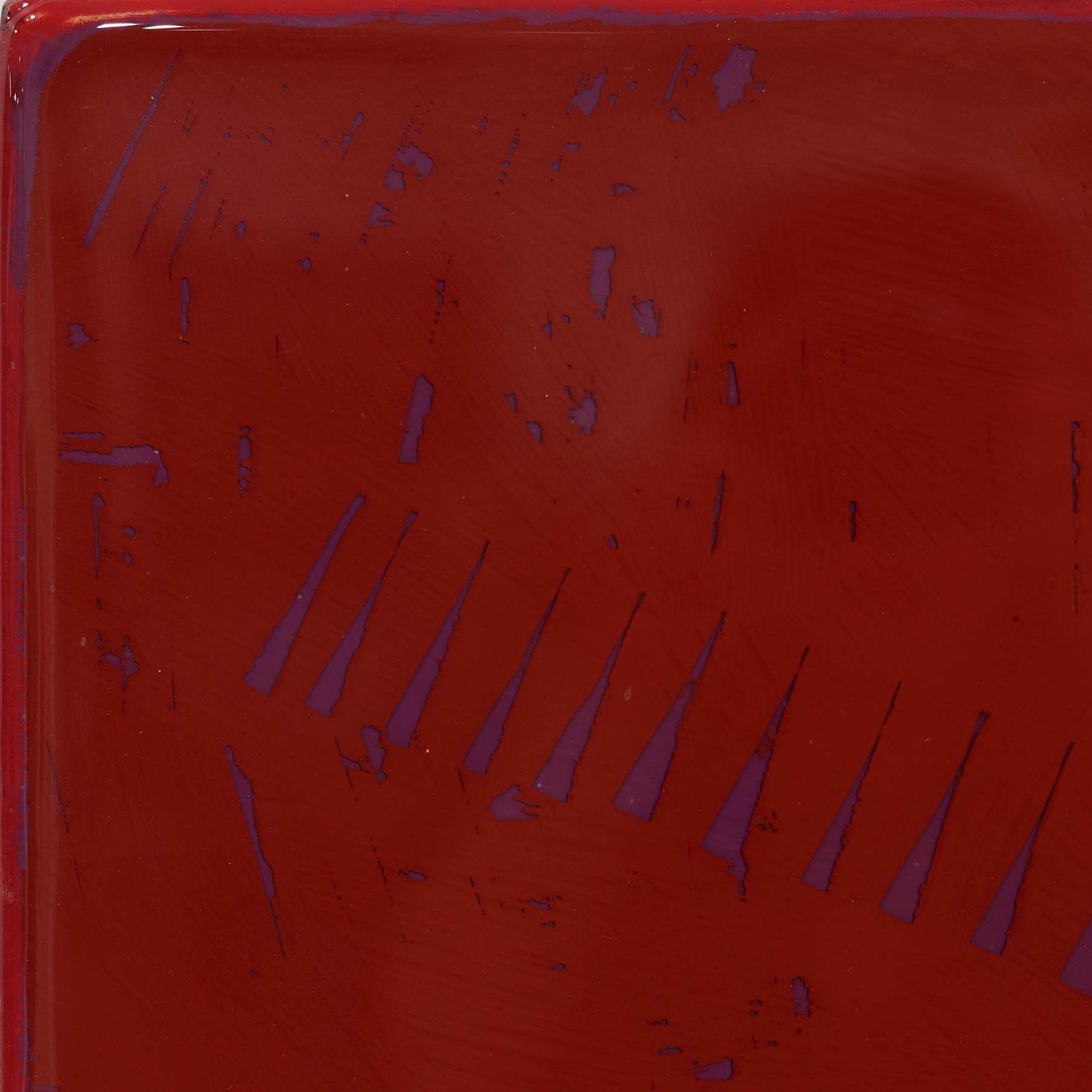 The Window 355 - Modern Shiny Resin Minimalist Crimson & Ochre Two Tone Artwork For Sale 1