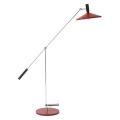 Floor Lamps