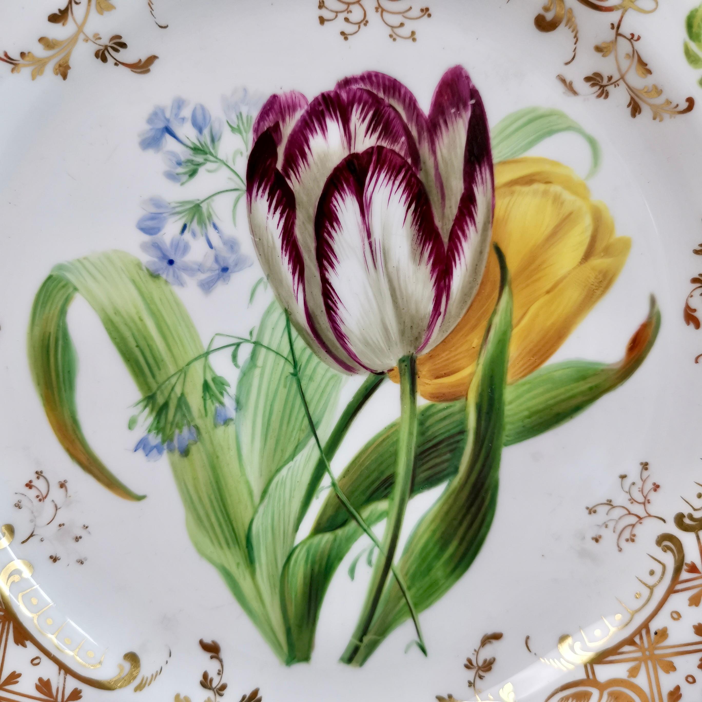 English Ridgway Dessert Plate, Sublime Flowers and Gilt, Victorian 1845-1850