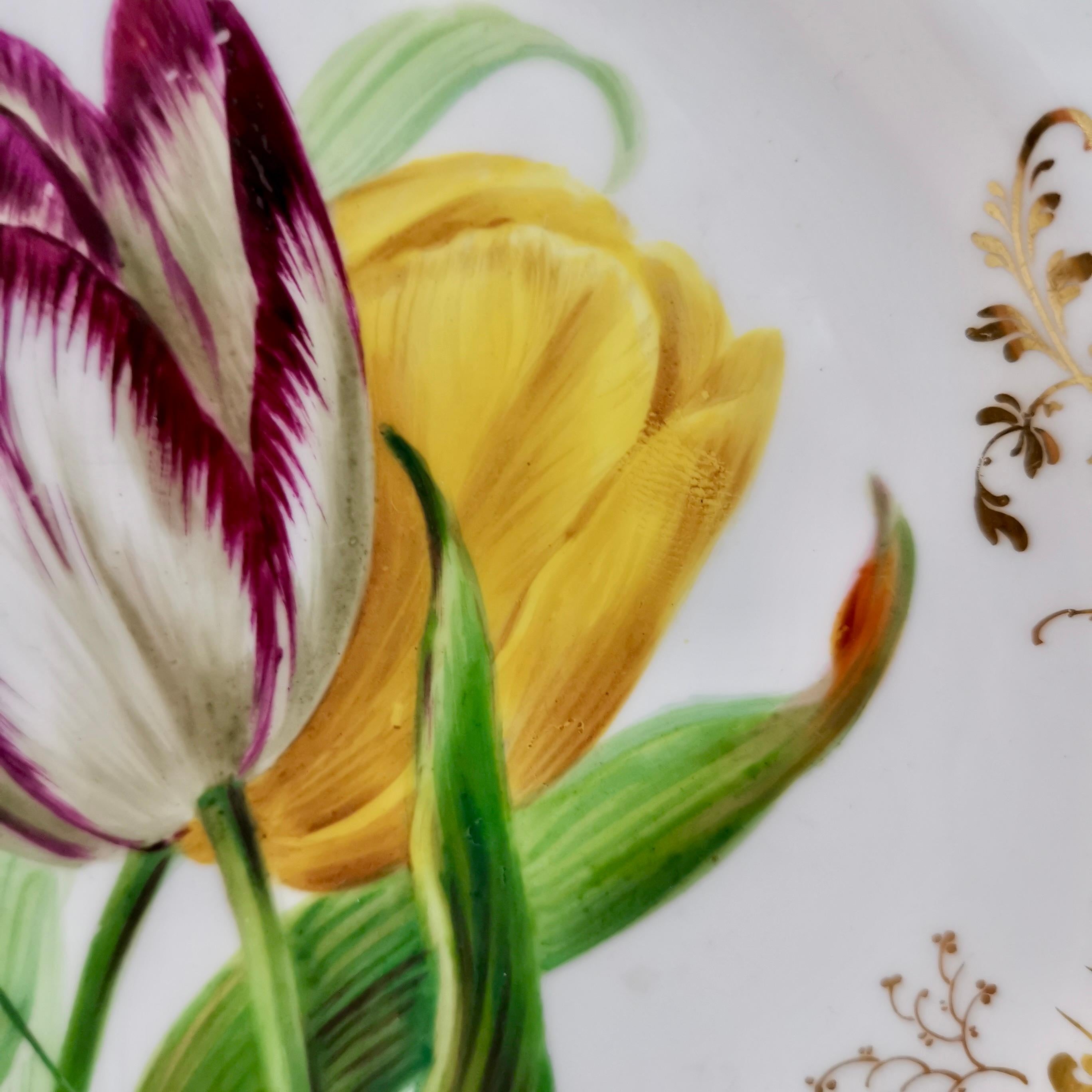 Ridgway Dessert Plate, Sublime Flowers and Gilt, Victorian 1845-1850 In Good Condition In London, GB