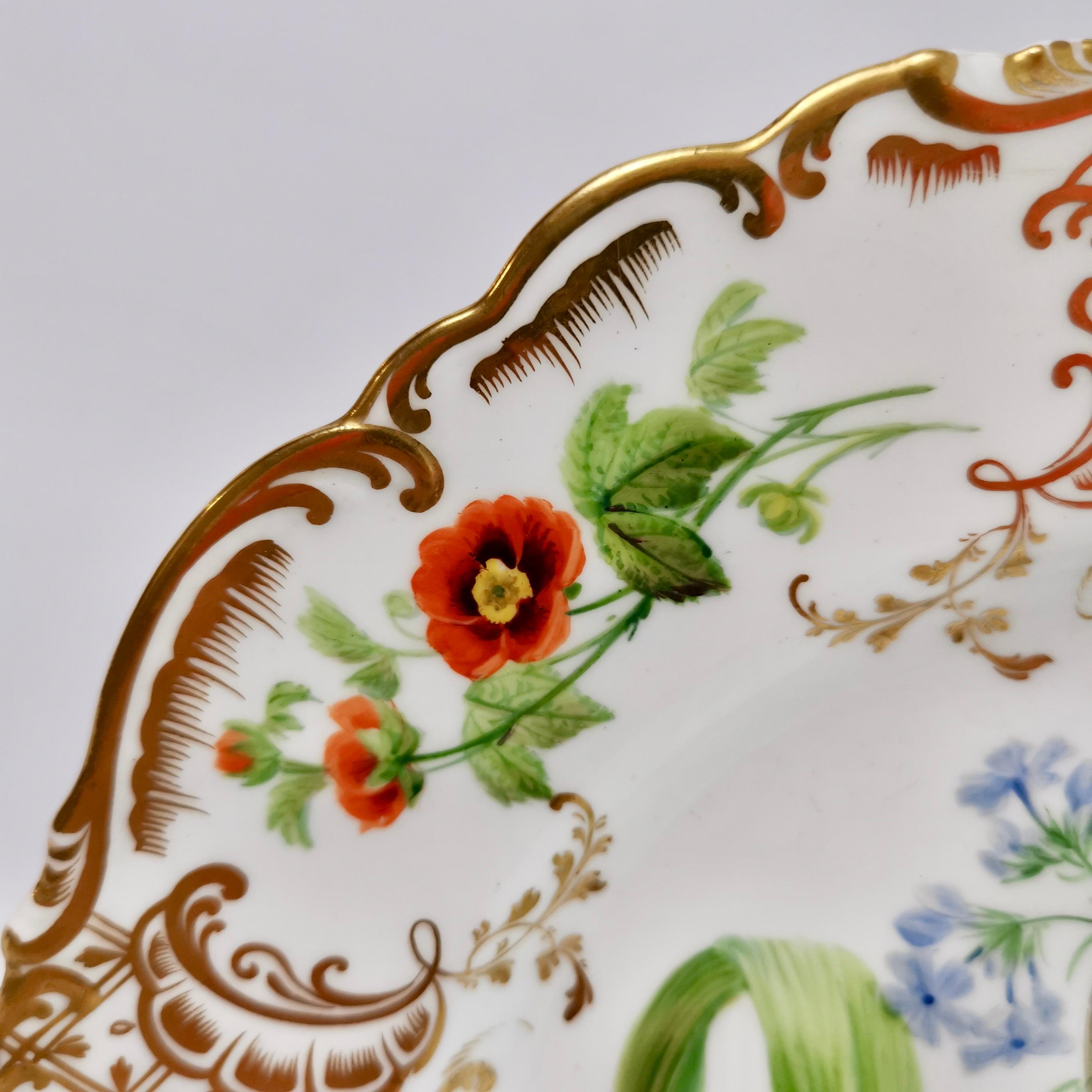 Porcelain Ridgway Dessert Plate, Sublime Flowers and Gilt, Victorian 1845-1850
