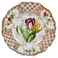 Ridgway Dessert Plate, Sublime Flowers and Gilt, Victorian 1845-1850
