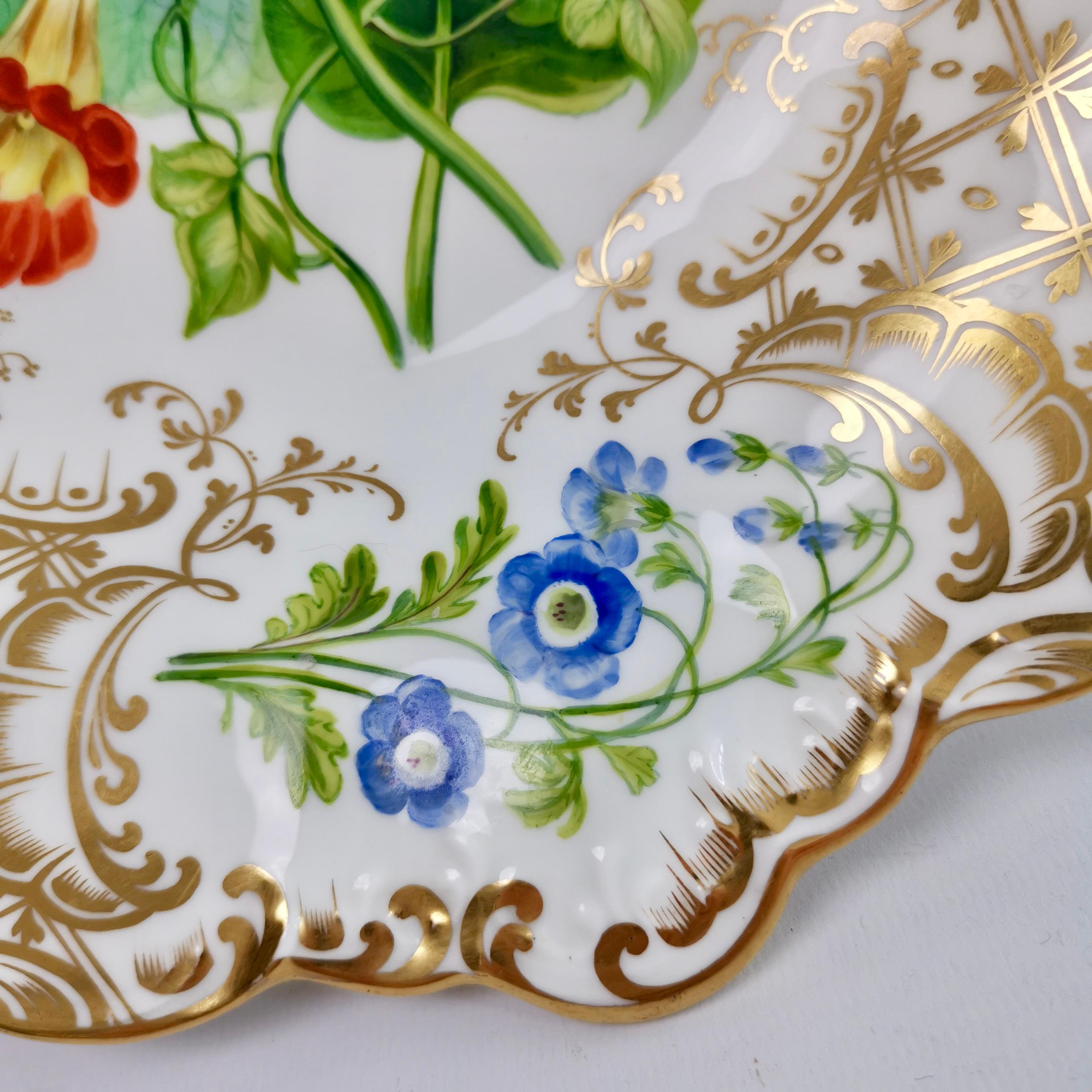 Ridgway High Footed Porcelain Dessert Comport, Sublime Flowers, Gilt, 1845-1850 3