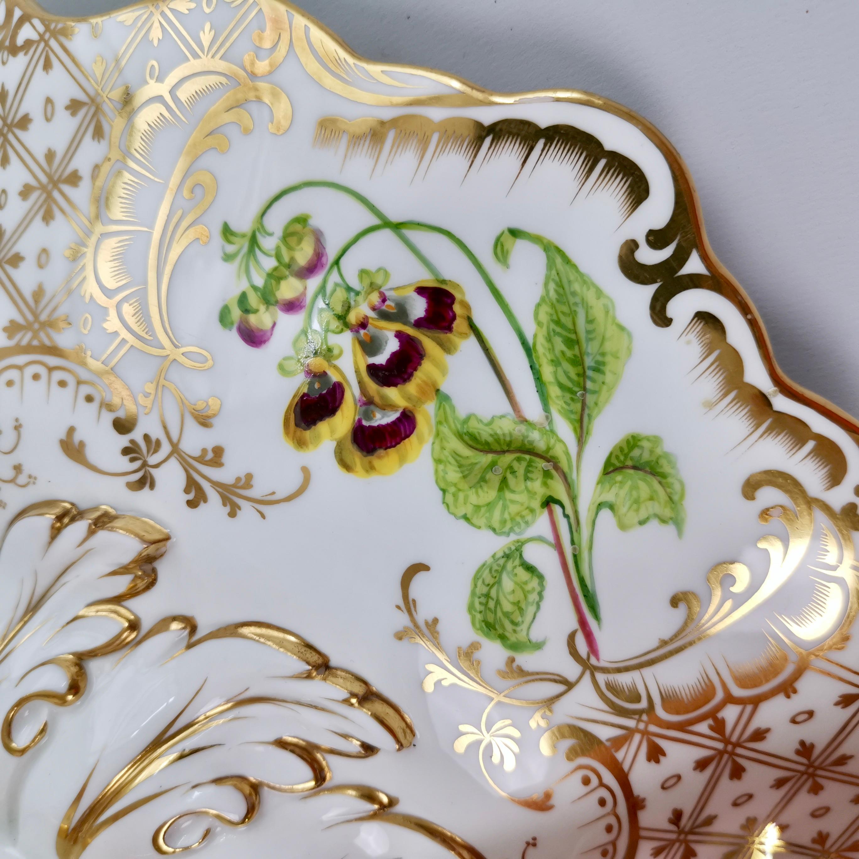 Ridgway High Footed Porcelain Dessert Comport, Sublime Flowers, Gilt, 1845-1850 1