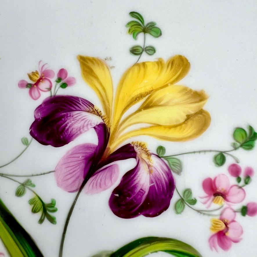 Hand-Painted Ridgway Plate, Daisy Moulded, Periwinkle Blue with Yellow Flower, ca 1830