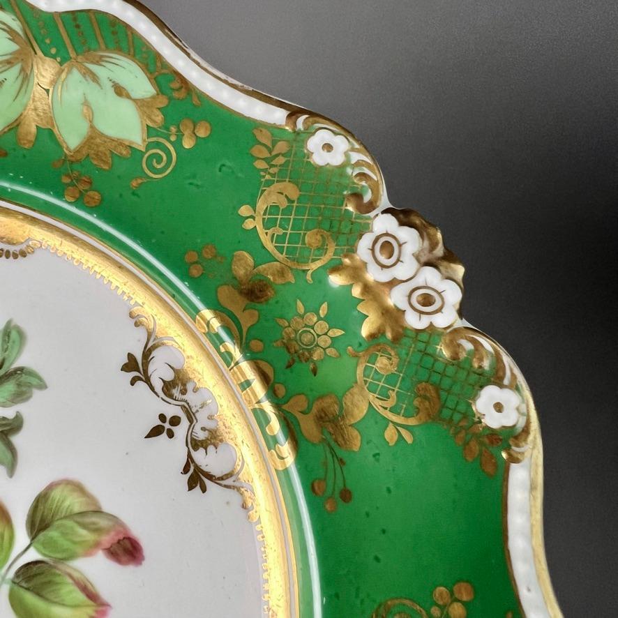 Ridgway Porcelain Plate, Daisy Moulded, Green with Flowers and Fruits, ca 1830 3