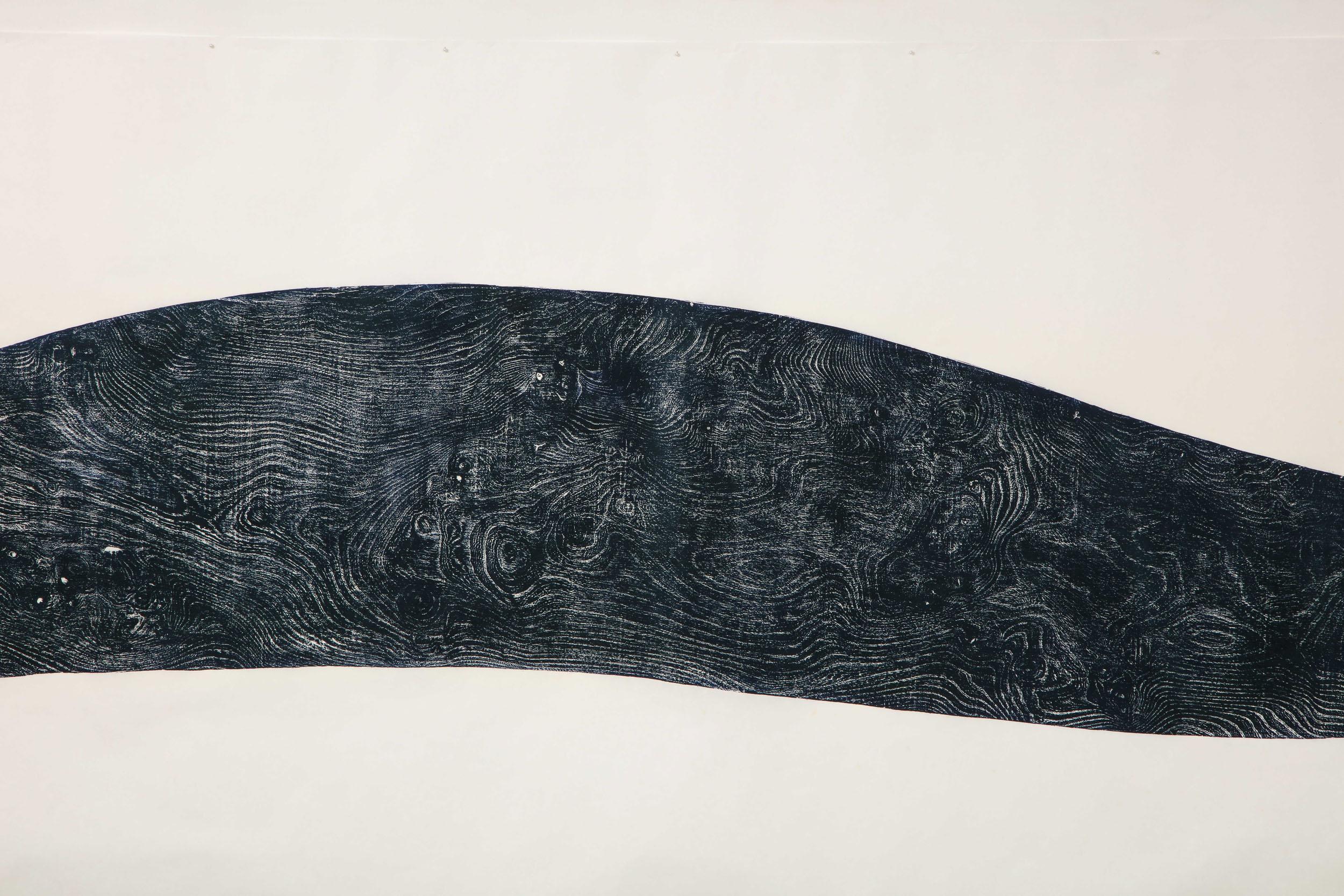 Right Whale „Facing Left“ von Julian Meredith (Englisch) im Angebot