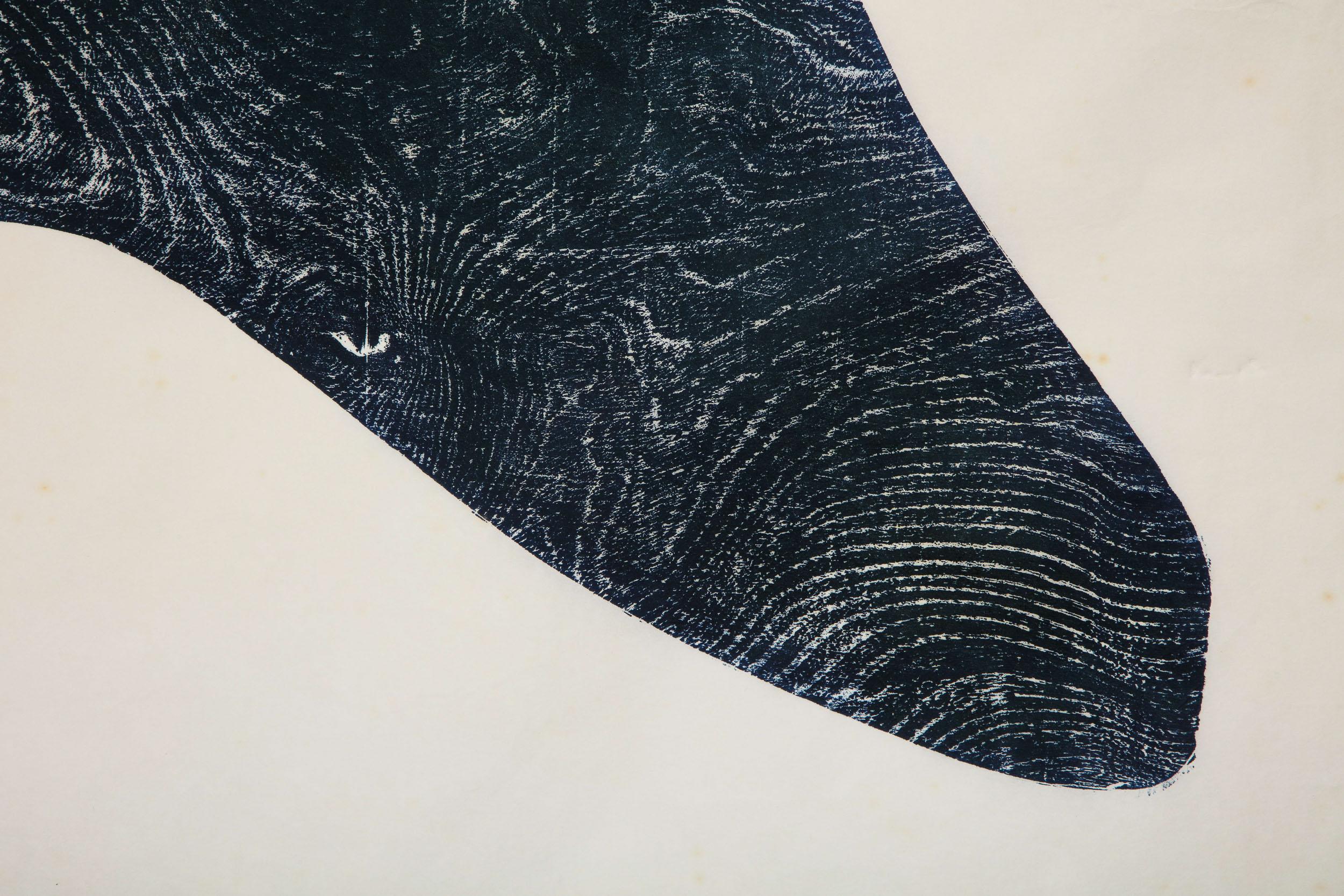 Right Whale „Facing Left“ von Julian Meredith im Angebot 1