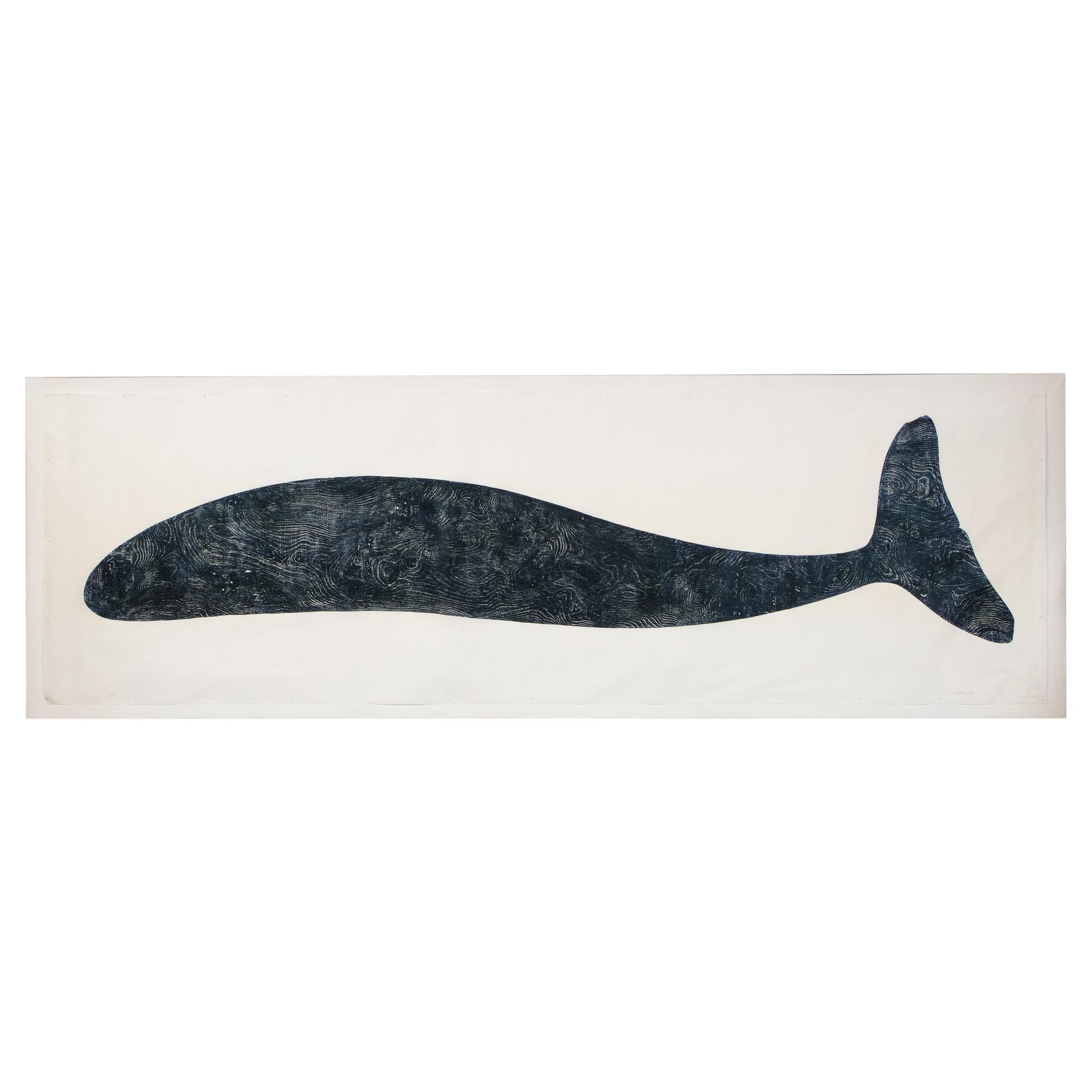 Right Whale „Facing Left“ von Julian Meredith im Angebot