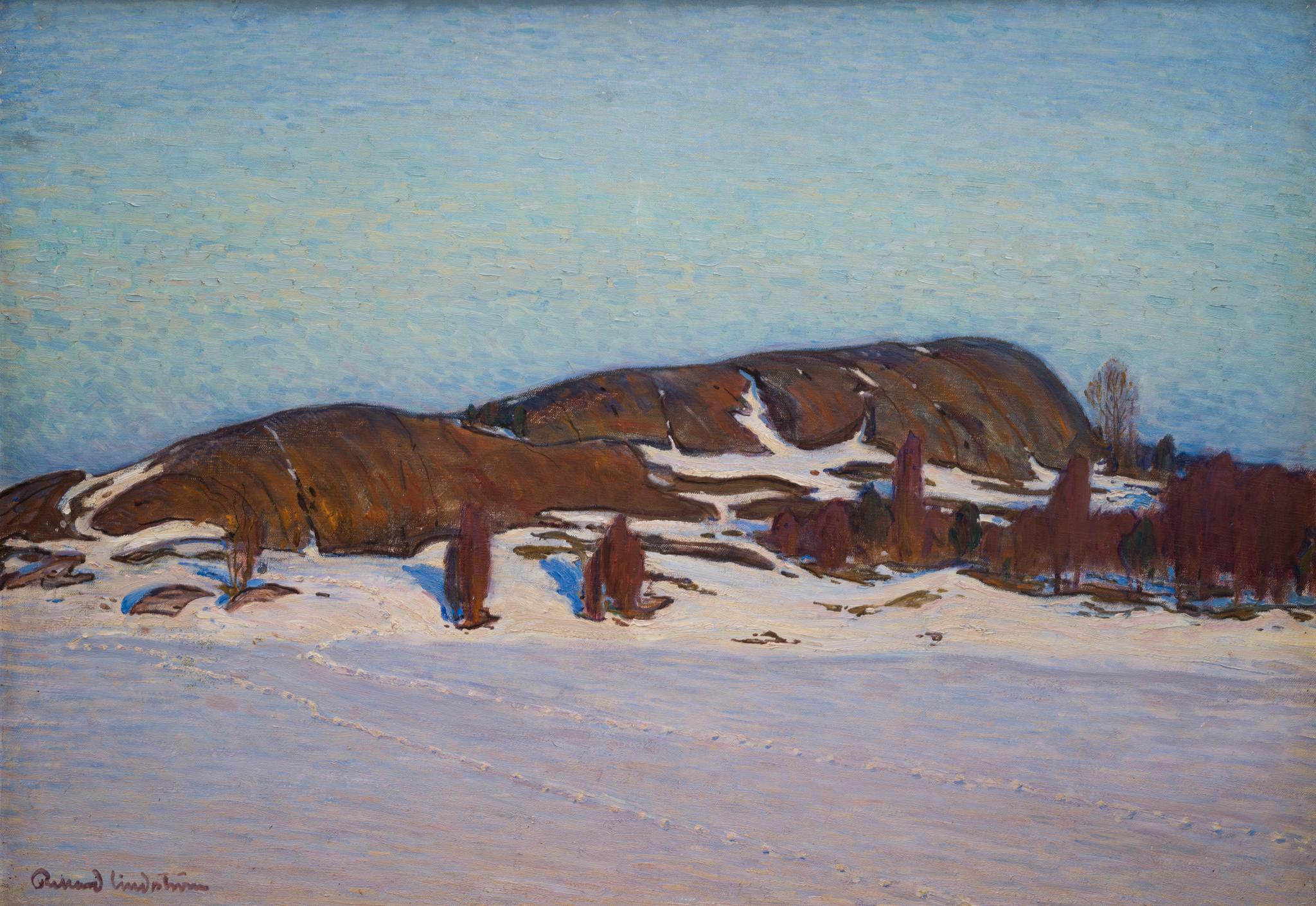 A Winter Landscape by Swedish Artist Rikard Lindström For Sale 1