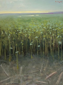 "Campos de juncos" (2022) de Riley Doyle, pintura al óleo original de paisaje