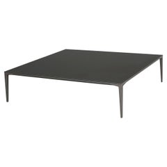 Rimadesio Tray Coffee Table Aluminium Structure