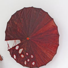 Hanuman's flight is evolution's climb