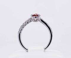 Ring in 14k White Gold with 0.71ct Intense Pink Diamond IGI Certified