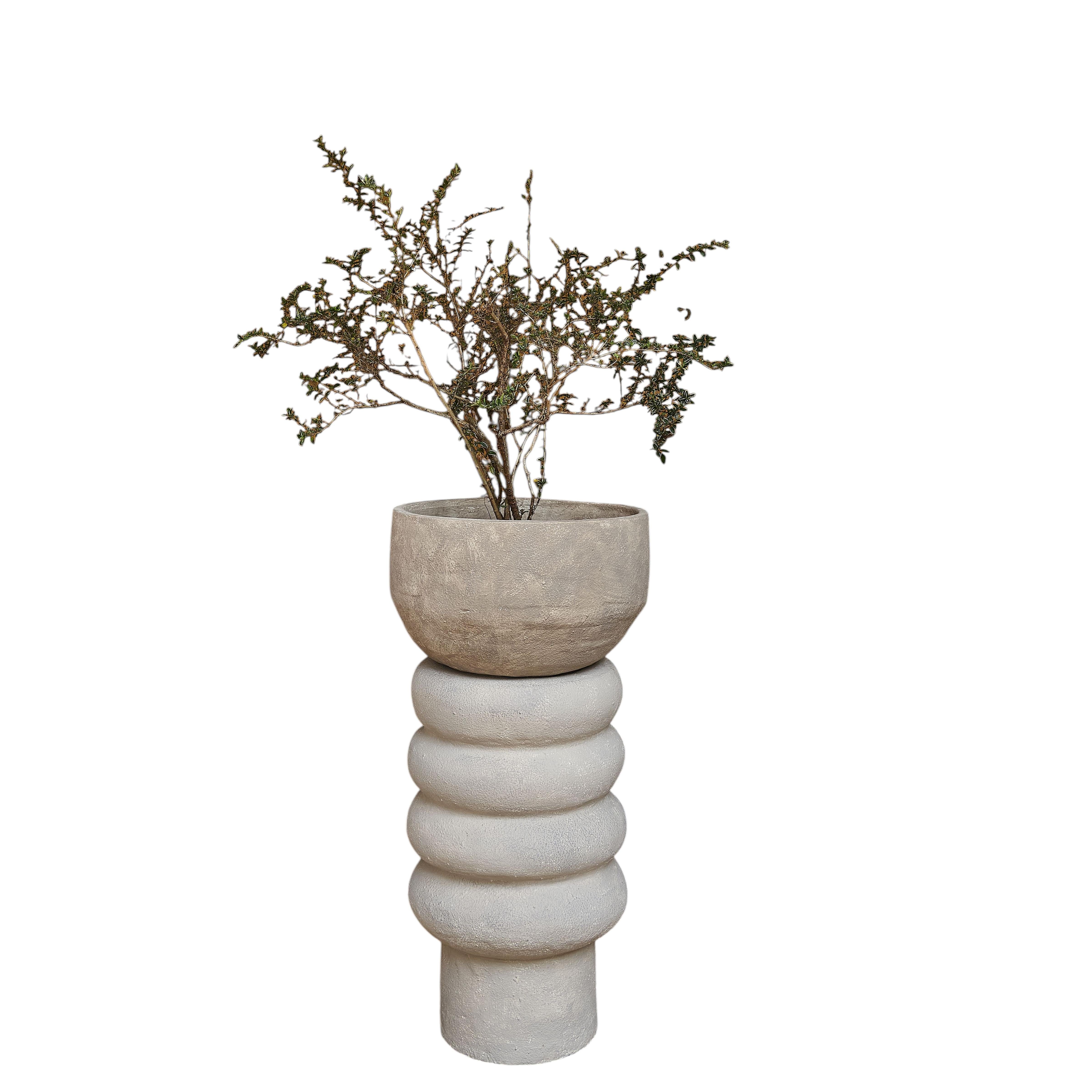 Ring Planter by Deetee Home