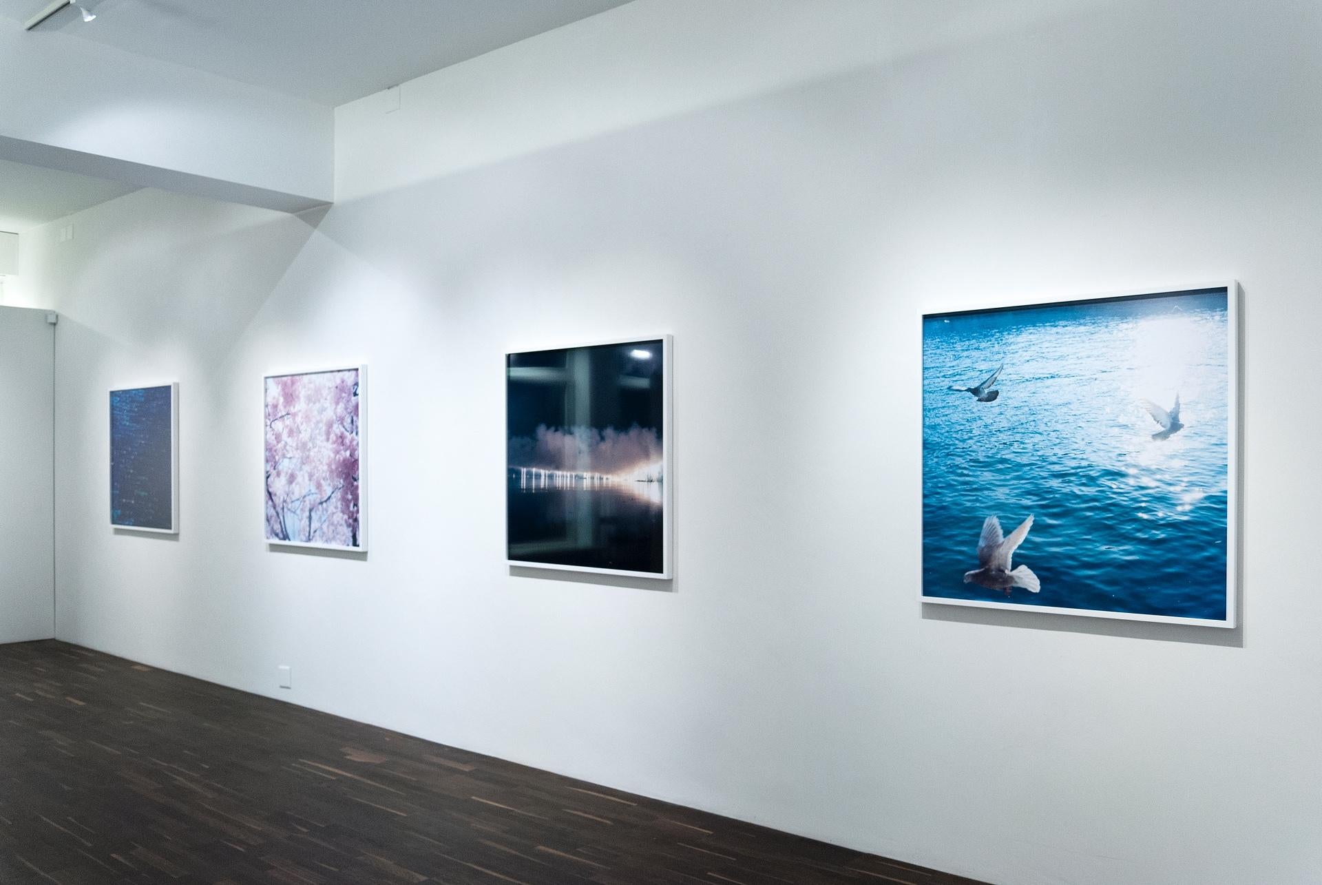 Untitled, from 'Illuminance' – Rinko Kawauchi, Water, Sun, Birds, Doves, Sea For Sale 2