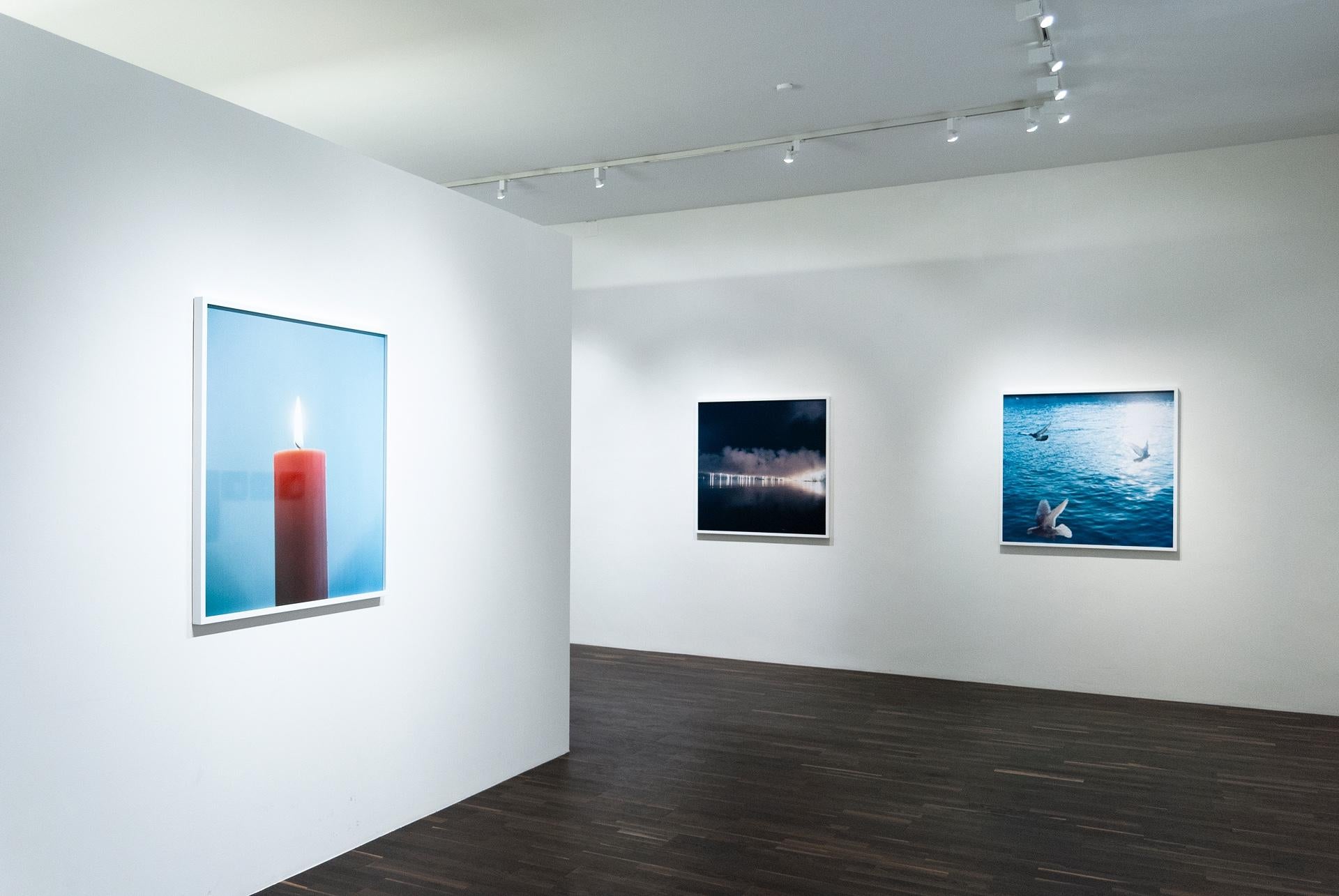 Untitled, from 'Illuminance' – Rinko Kawauchi, Water, Sun, Birds, Doves, Sea For Sale 3