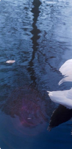 Untitled, from the series 'AILA'