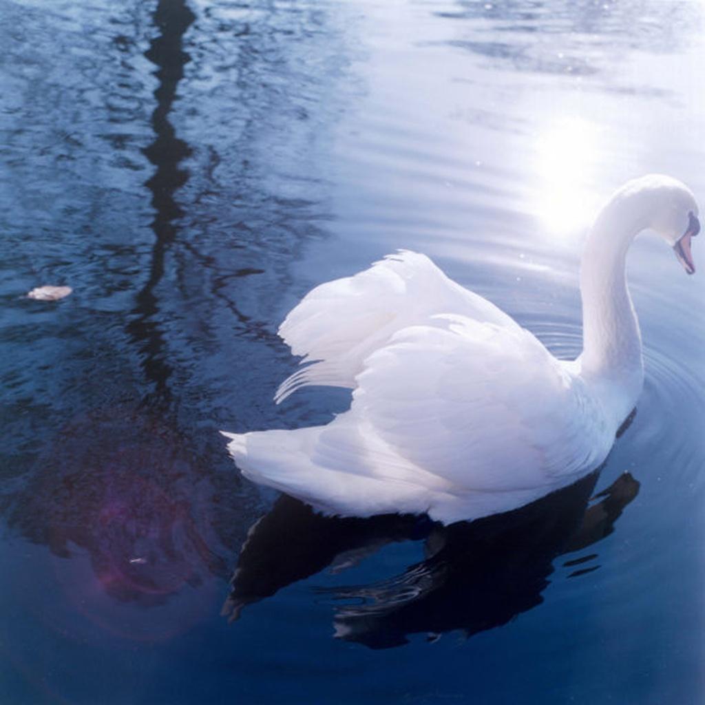 Untitled, from the series 
AILA
