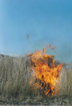 Untitled, from the series 'Ametsuchi'