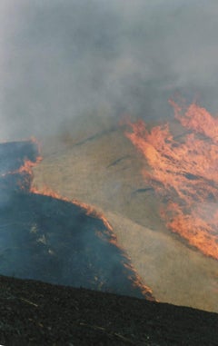 Sin título, de la serie "Ametsuchi".