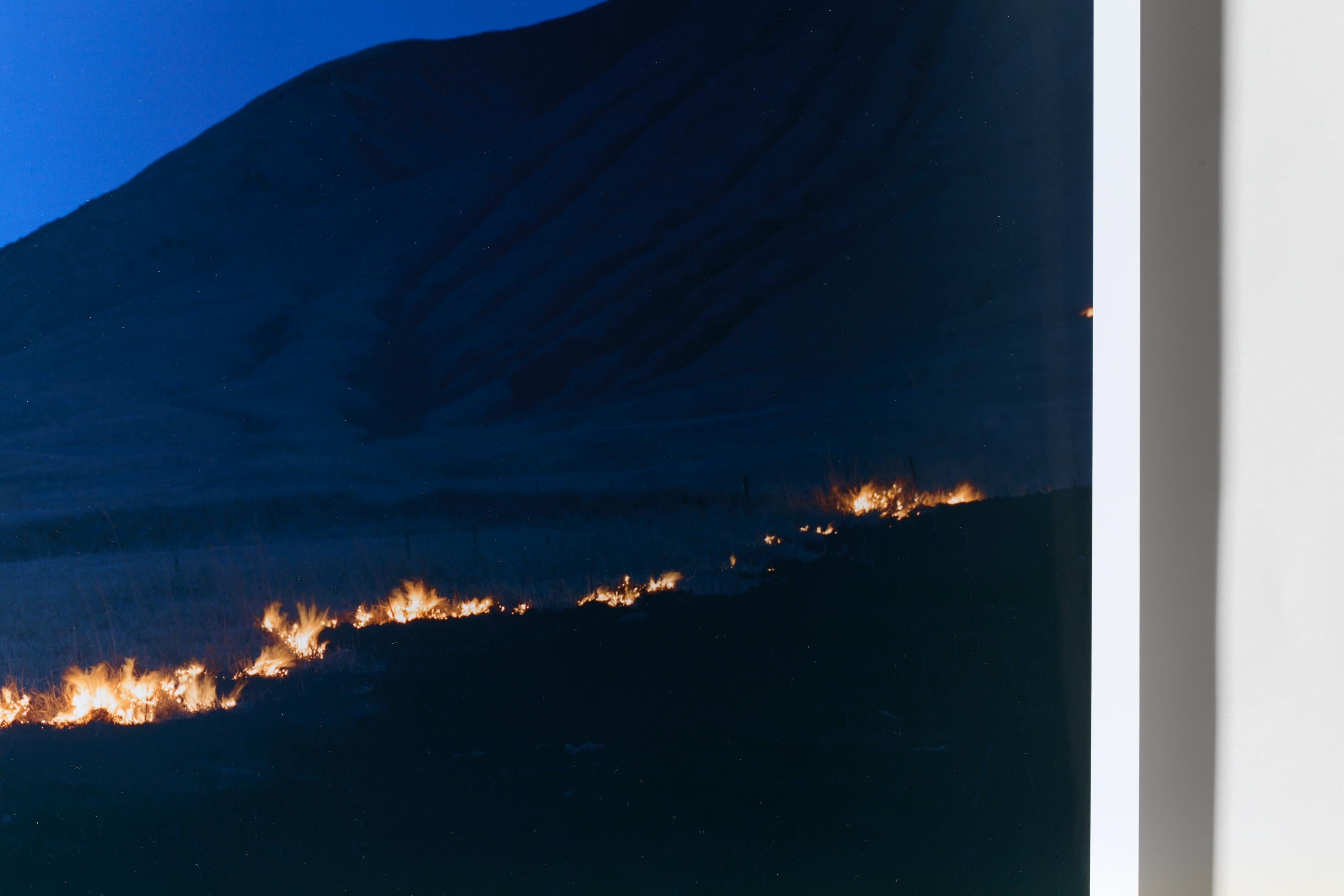 With a title that loosely translates to “heaven and earth,” Rinko Kawauchi’s 2013 publication, Ametsuchi addresses the inherently circular nature of creation and destruction through a visual examination of traditional Japanese agricultural