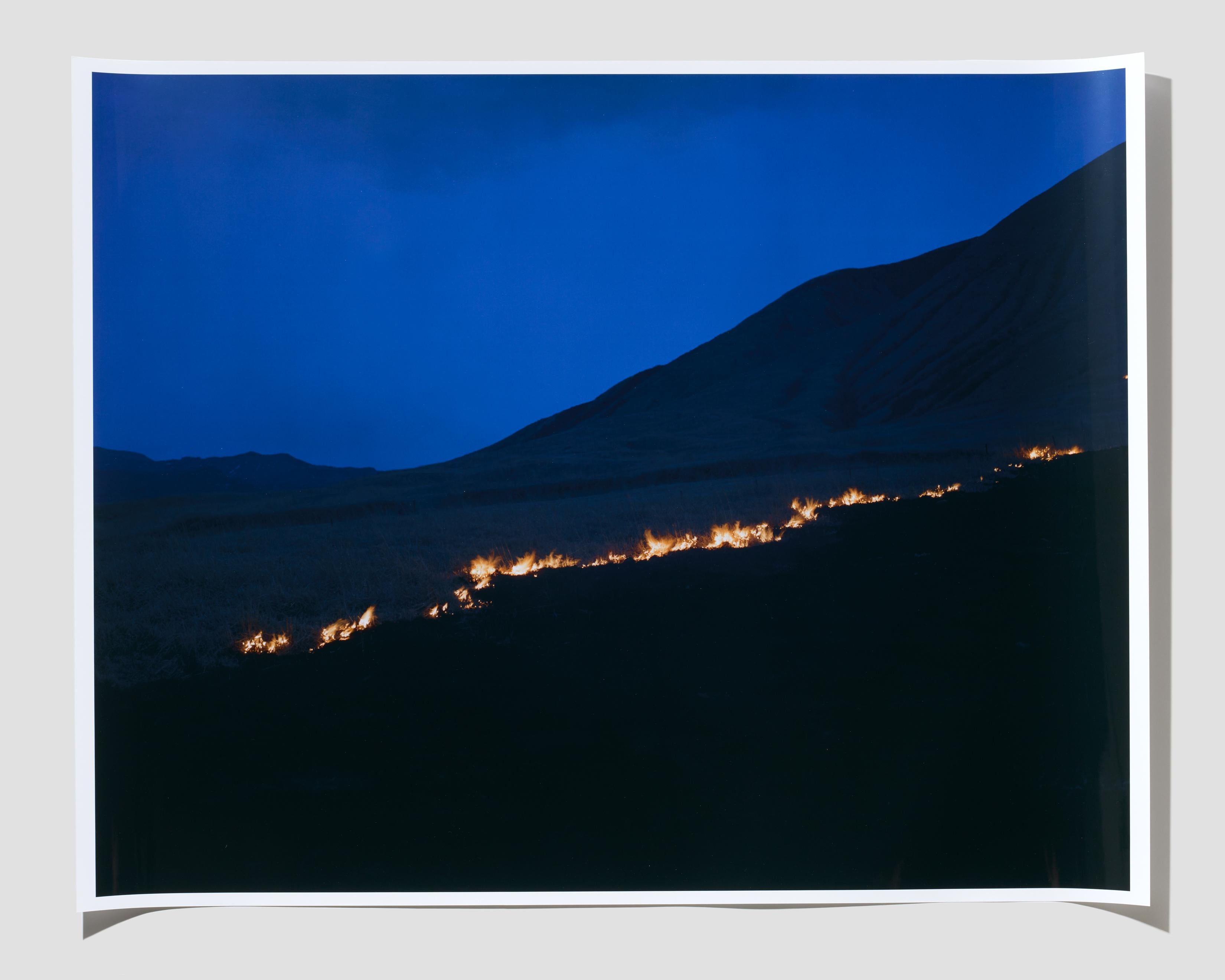 Rinko Kawauchi - Untitled, from the series Ametsuchi For Sale at 1stDibs