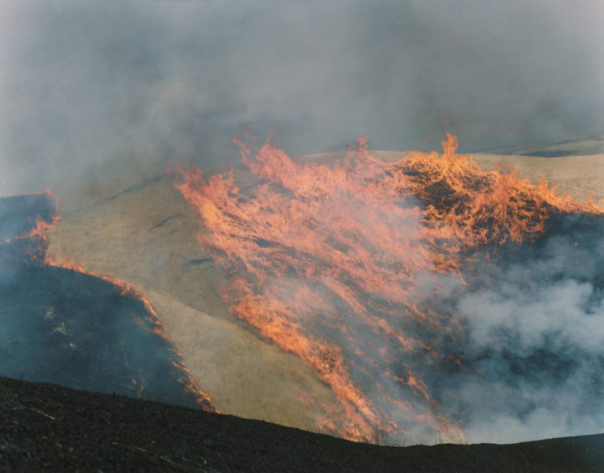 Untitled, from the series 
Ametsuchi
