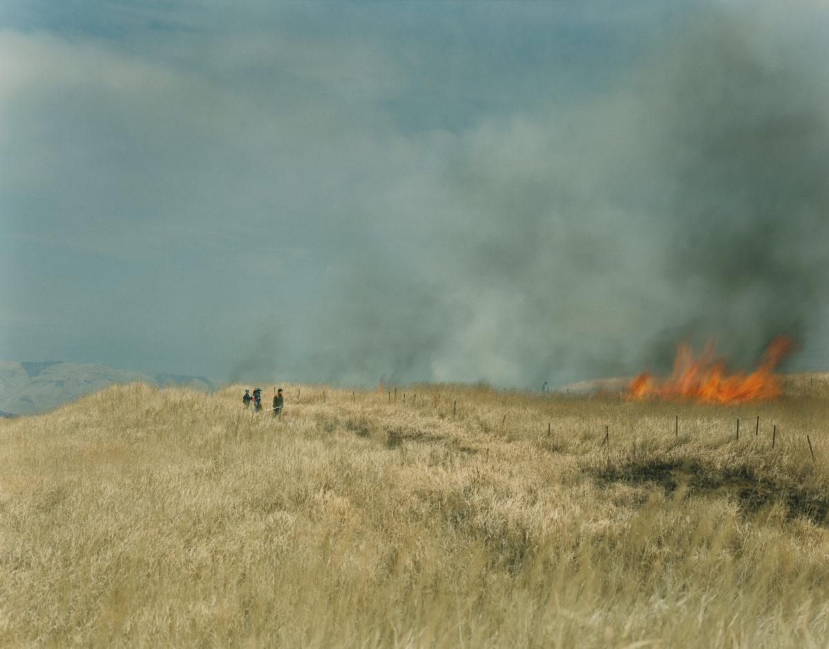 Rinko Kawauchi Landscape Photograph - Untitled, from the series 
Ametsuchi
