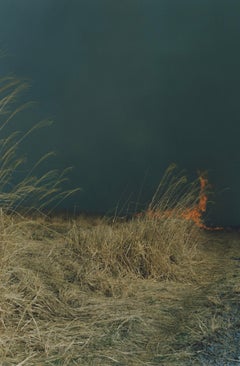Untitled, from the series 'Ametsuchi' – Rinko Kawauchi