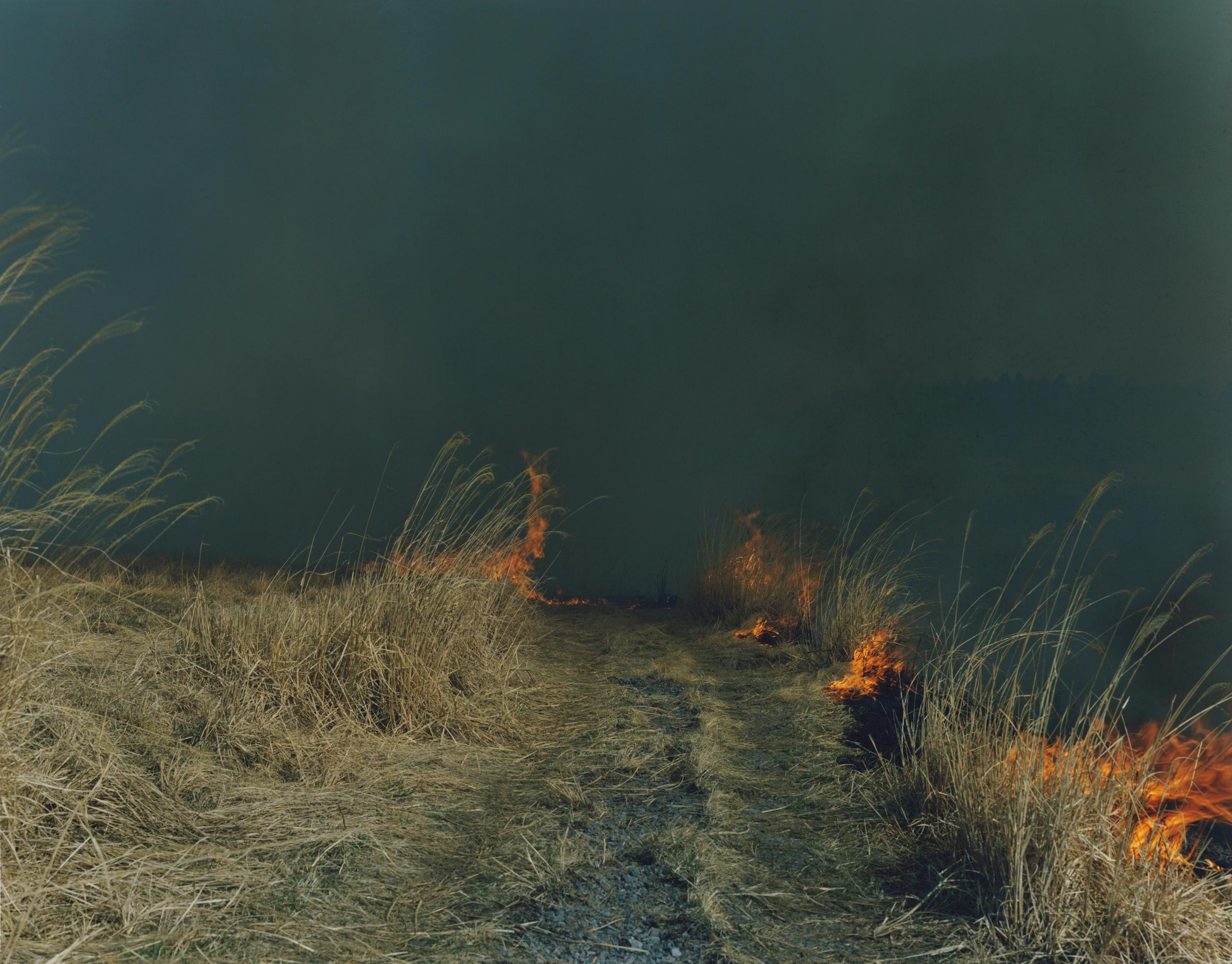 Untitled, from the series 
Ametsuchi
 – Rinko Kawauchi