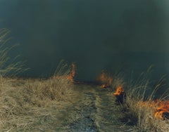 Untitled, from the series 
Ametsuchi
 – Rinko Kawauchi