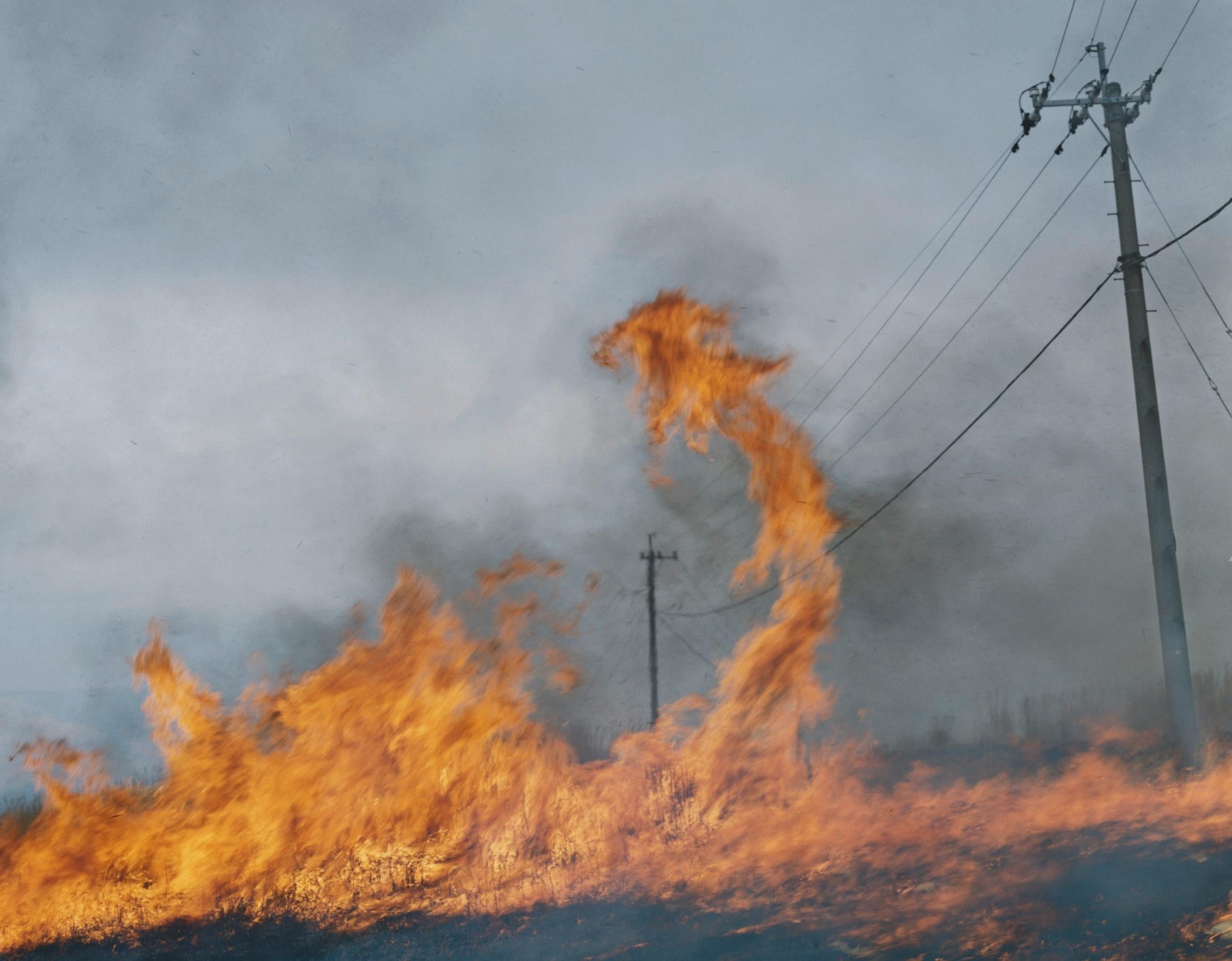 Senza titolo, dalla serie 'Ametsuchi' - Rinko Kawauchi, Paesaggio, Fuoco, Arte in vendita 1
