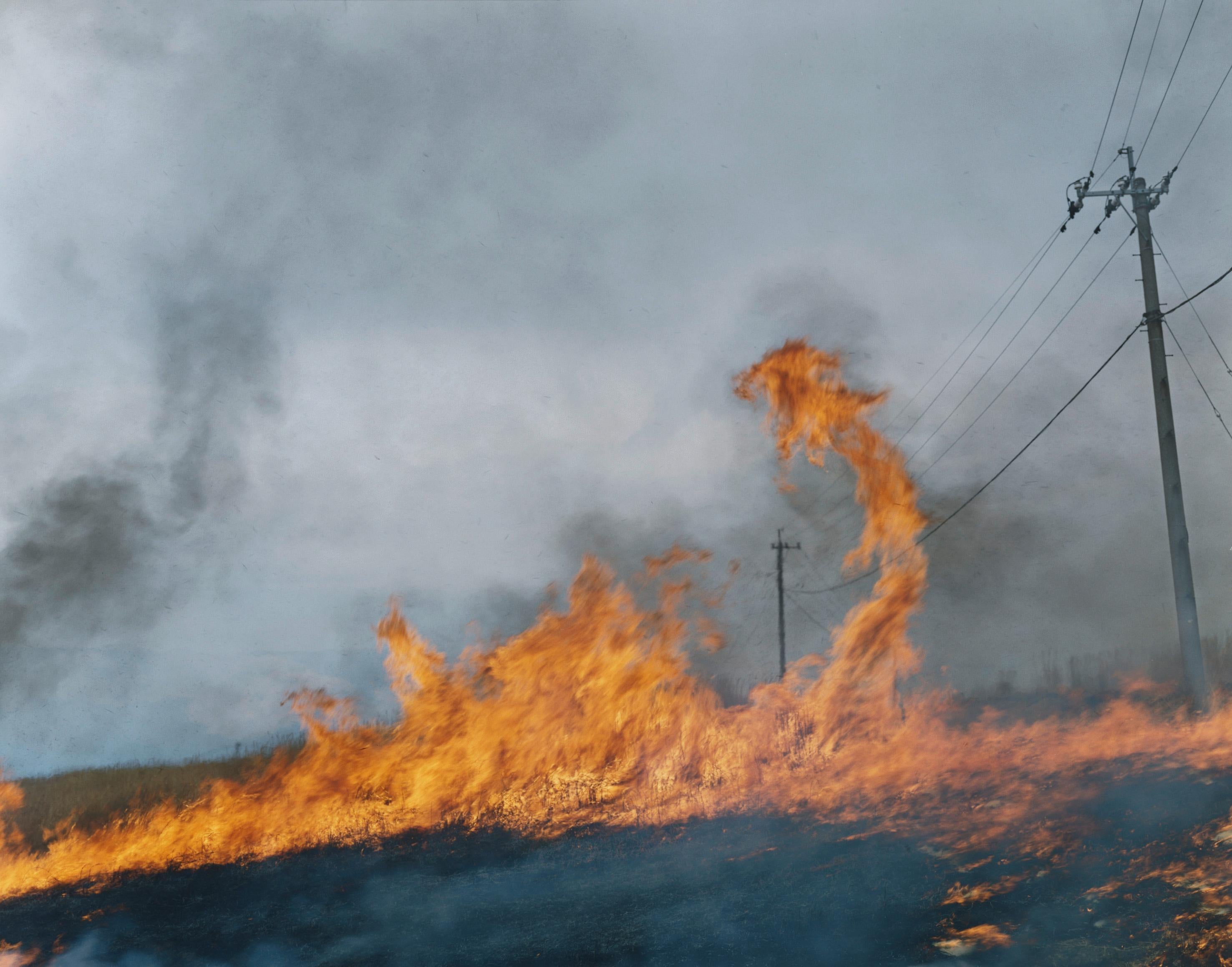 Rinko KAWAUCHI (*1972, Japon)
Sans titre, de la série "Ametsuchi", 2013
Impression Lambda
Feuille 148 x 185 cm (58 1/4 x 72 7/8 in.) 
Edition de 3 ; Ed. no. 2/3
Imprimer seulement

Kawauchi, qui est actuellement l'une des artistes asiatiques