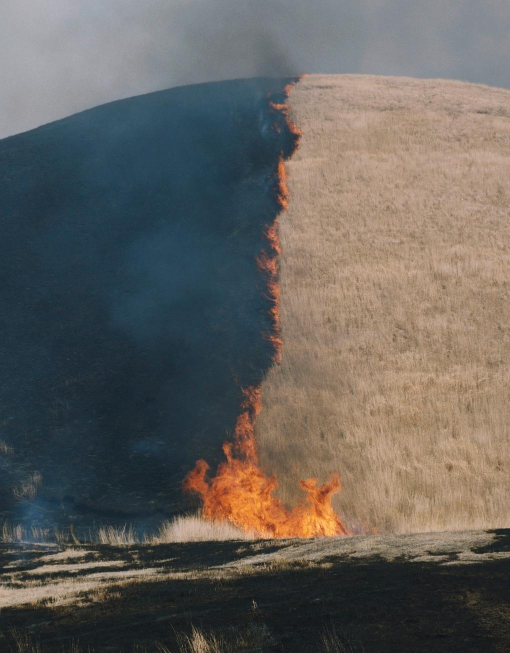 Ohne Titel, aus der Serie „Ametsuchi“ Rinko Kawauchi, Landschaft, Feuer, Hügel im Angebot 1