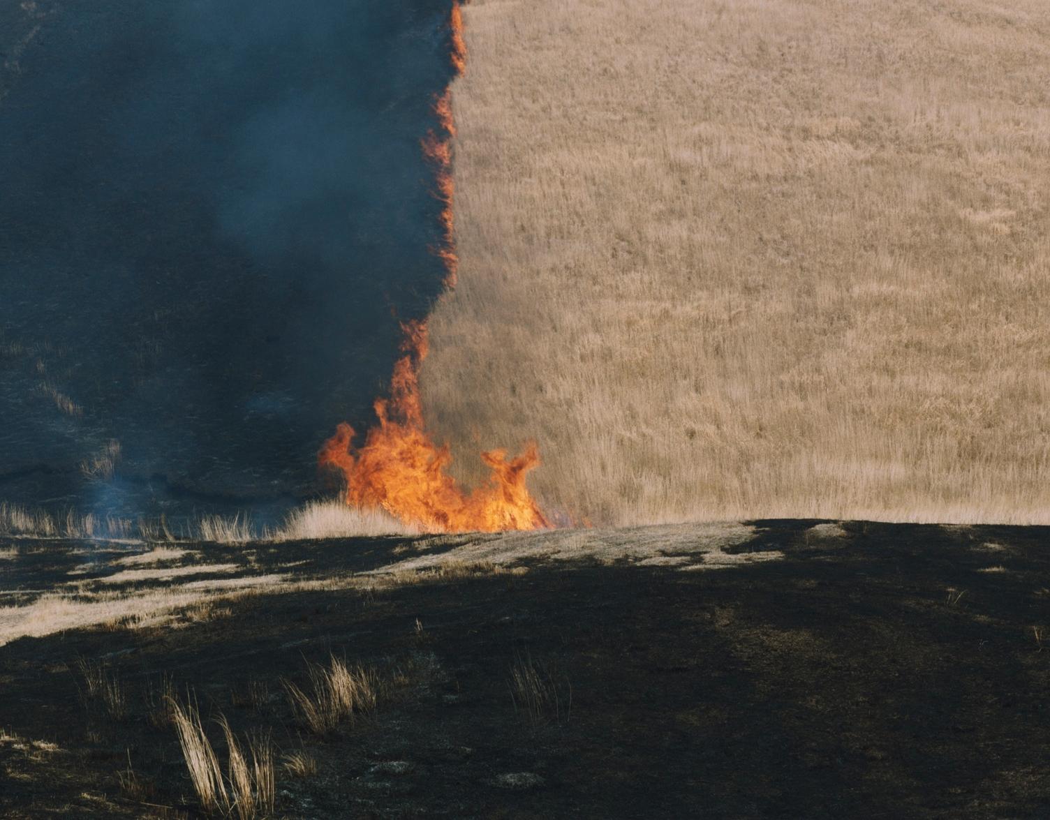 Ohne Titel, aus der Serie „Ametsuchi“ Rinko Kawauchi, Landschaft, Feuer, Hügel im Angebot 4