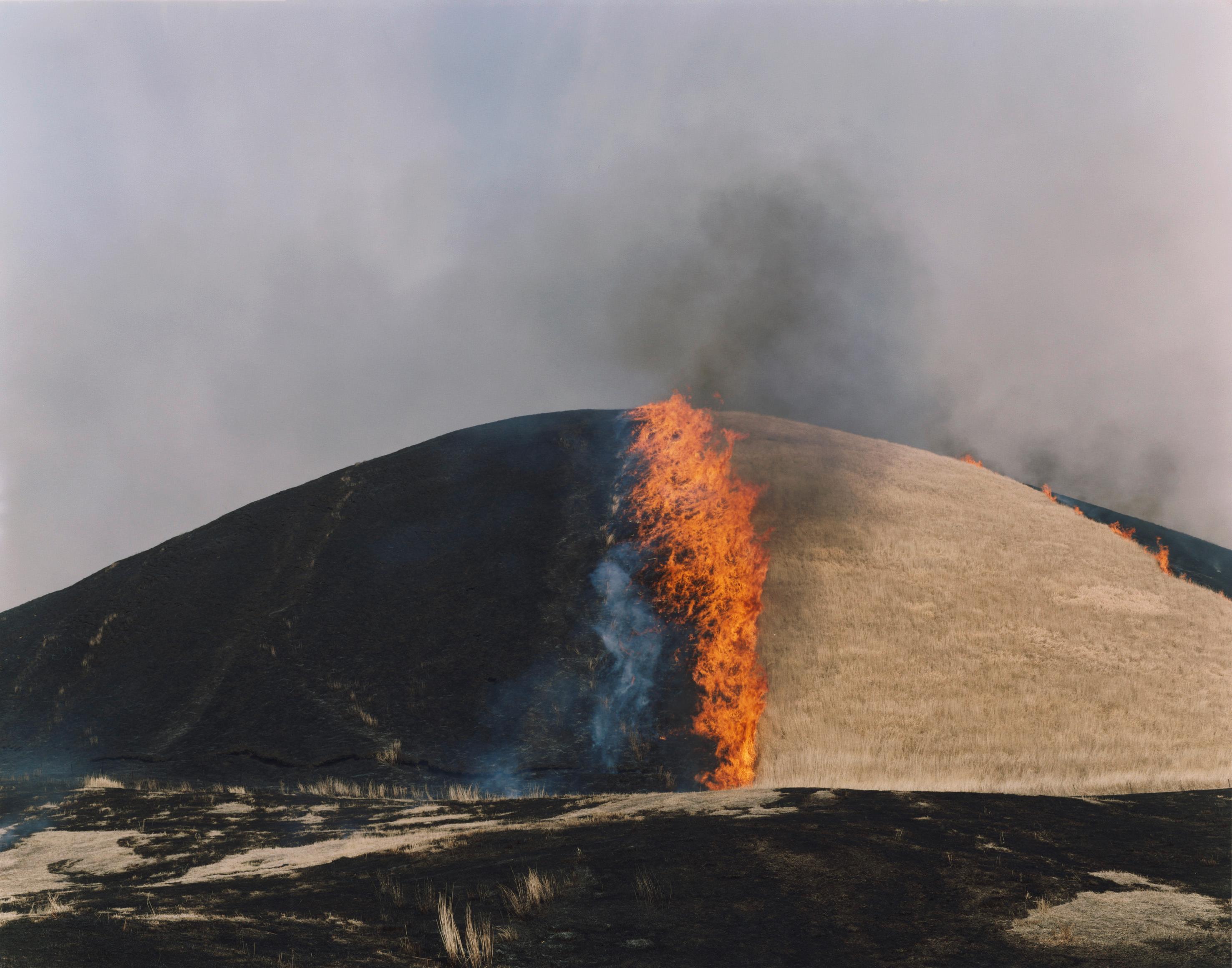 Rinko KAWAUCHI (*1972, Japon)
Sans titre, de la série "Ametsuchi", 2013
Impression lambda
148 x 185 cm (58 1/4 x 72 7/8 in.) 
Edition de 3 ; Ed. no. 1/3
Imprimer seulement

Kawauchi, qui est actuellement l'une des femmes artistes asiatiques