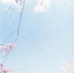 Sans titre, de la série « Approaching Whiteness » Rinko Kawauchi, Paysage