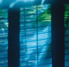 Untitled, from the series 'Cui Cui'