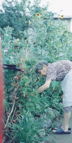 Untitled, from the series 'Cui Cui'