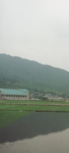 Untitled, from the series 'Cui Cui'