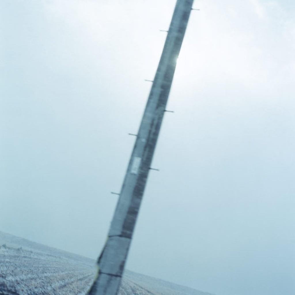 Untitled, from the series 
Cui Cui
