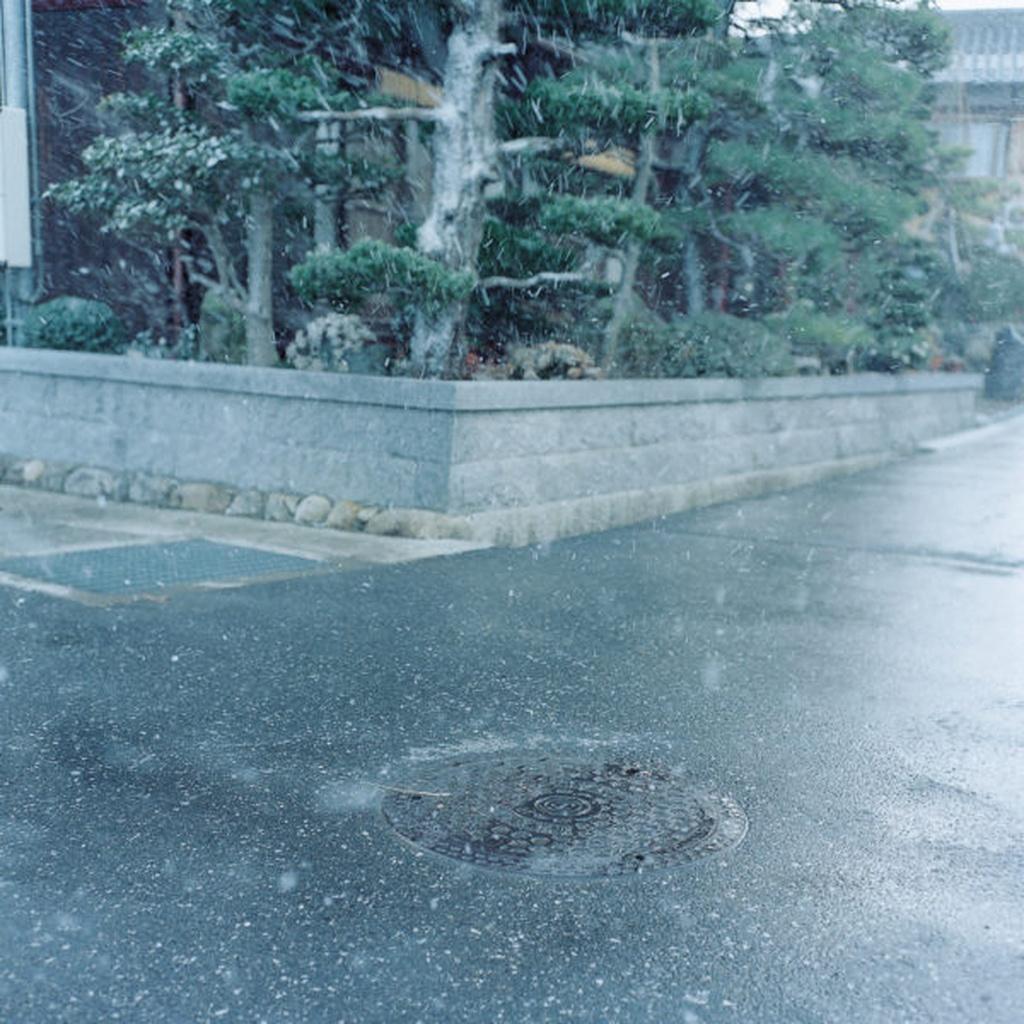 Untitled, from the series 
Cui Cui
