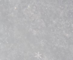 Untitled, from the series 'Halo'